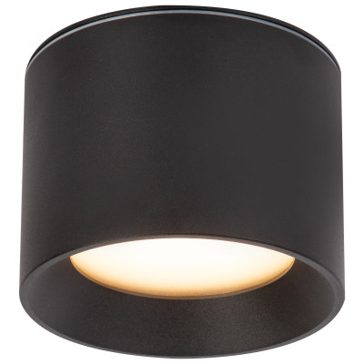 Boxlab Big Gill IP54 czarny - lampa natynkowa do łazienki