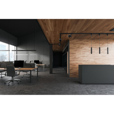 Cameleon adapter ctls 8281