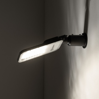 Pathway led pro head 10641