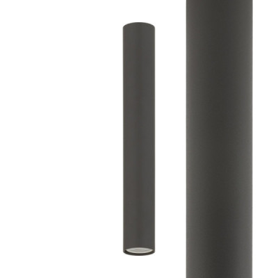 Cameleon fourty  m 11223