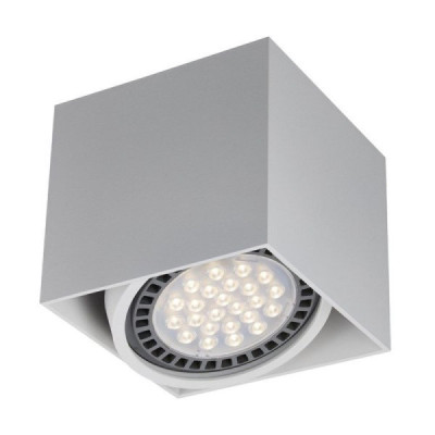 Zuma Line Box 1 - Lampa Sufitowa