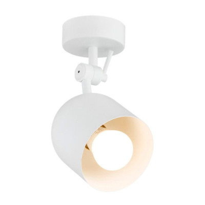 Argon Alabama 1L - reflektorek - lampa sufitowa