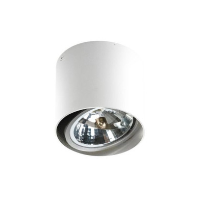 Azzardo Alix 12V WH - lampa natynkowa