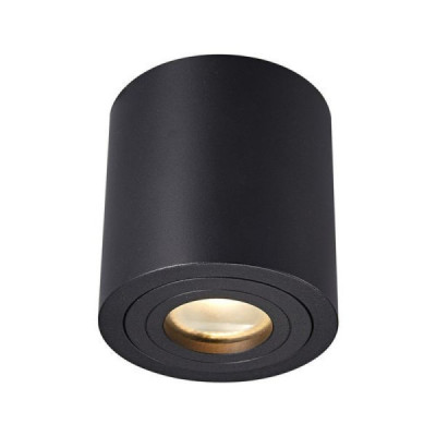 Zuma Line Rondip SL - Lampa sufitowa IP44 hermetyczna